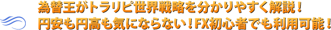 為替王がトラリピ世界戦略を分かりやすく解説！円安も円高も気にならない！FX初心者でも利用可能！