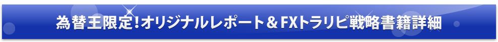 為替王限定！オリジナルレポート＆FXトラリピ戦略書籍詳細