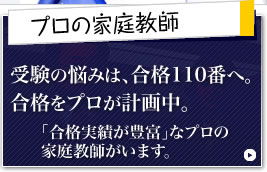 v̉ƒ닳t